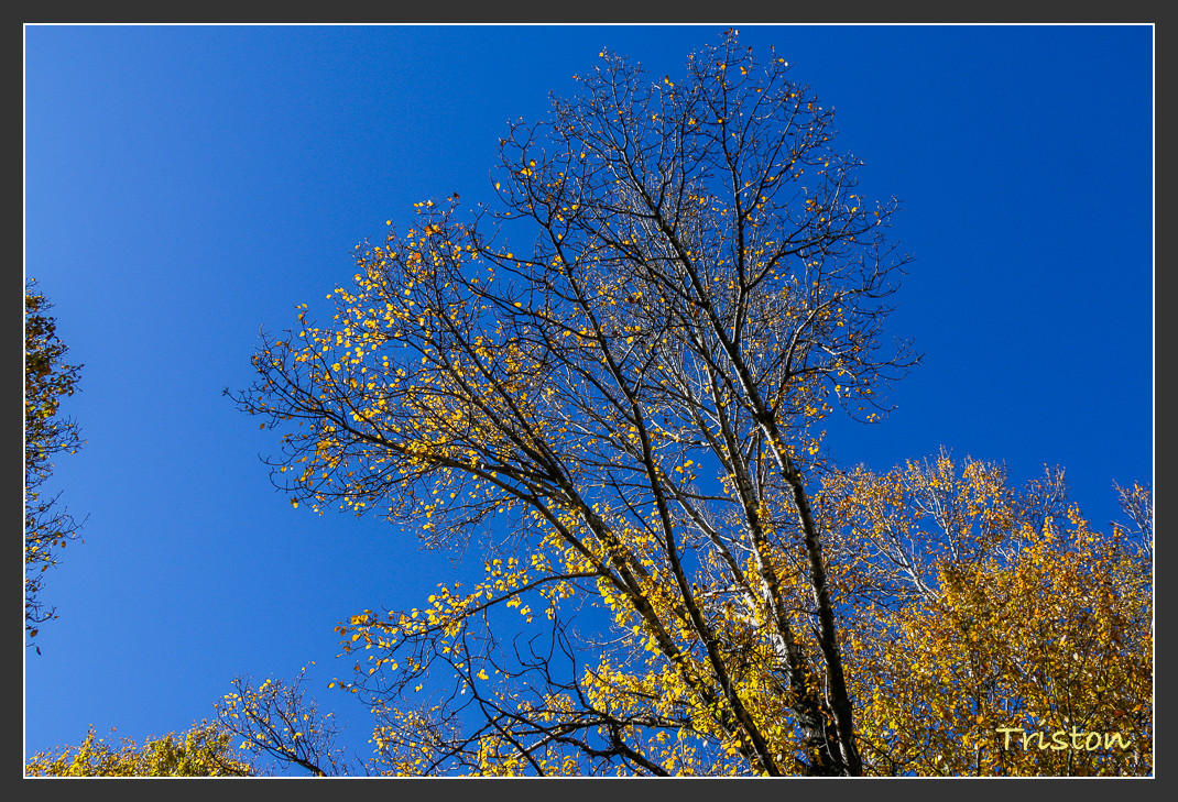 _MG_1305.jpg - 20161013 稻城亞丁