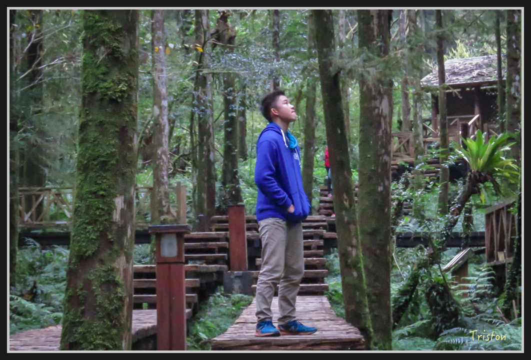 0045.jpg - 20161231 明池 神木園