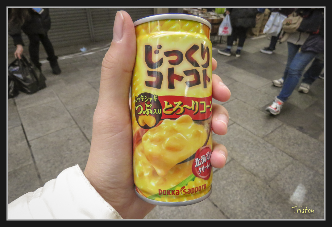 Canon-959.jpg - 20170120 大阪神戶親子遊 