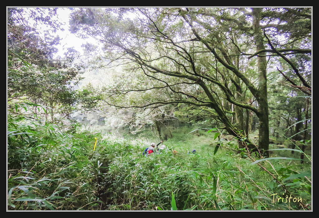 IMG_1442.jpg - 20170318 守關山、守城大山