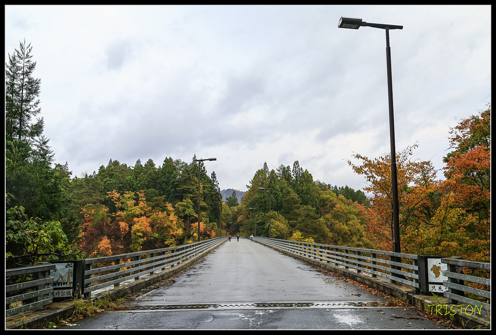 _H1A0402.jpg - 20171103 日本只見線、會津若松五色沼、昭和記念公園賞紅葉