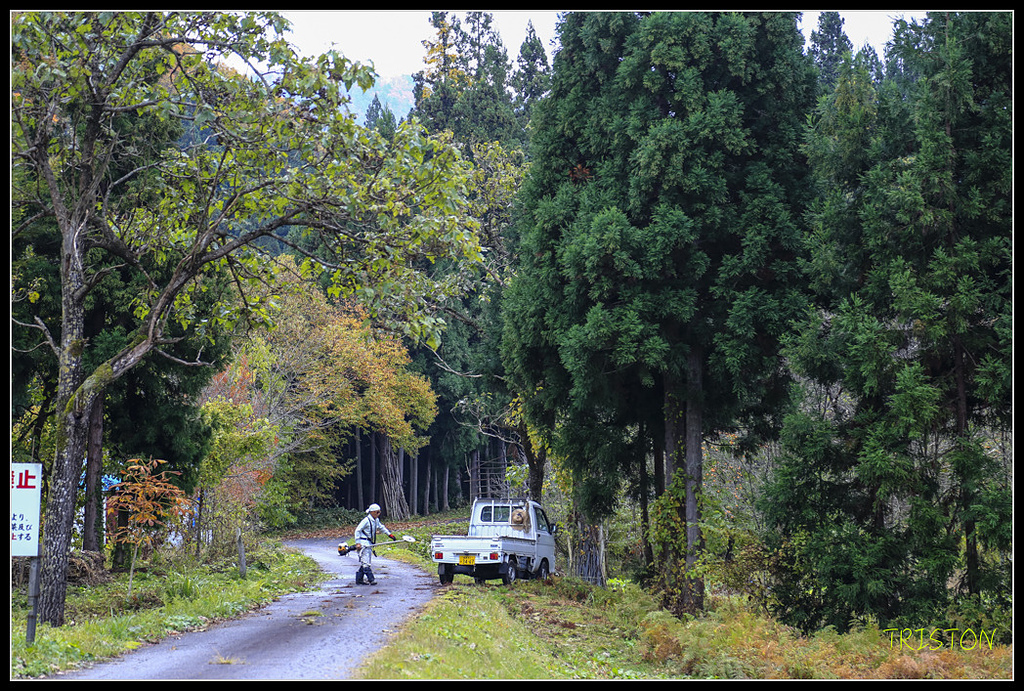 _H1A0617.jpg - 20171103 日本只見線、會津若松五色沼、昭和記念公園賞紅葉