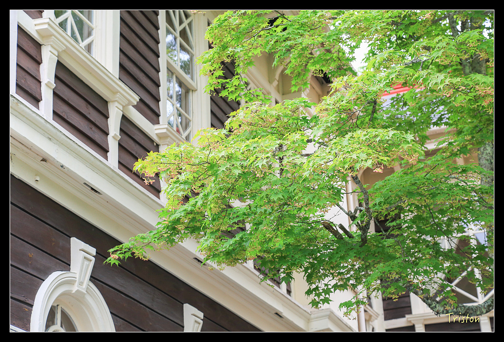 JH1A9449.jpg - 20150628 東京輕井澤日光