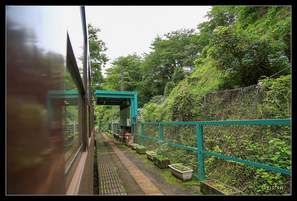 JH1A9716.jpg - 20150628 東京輕井澤日光