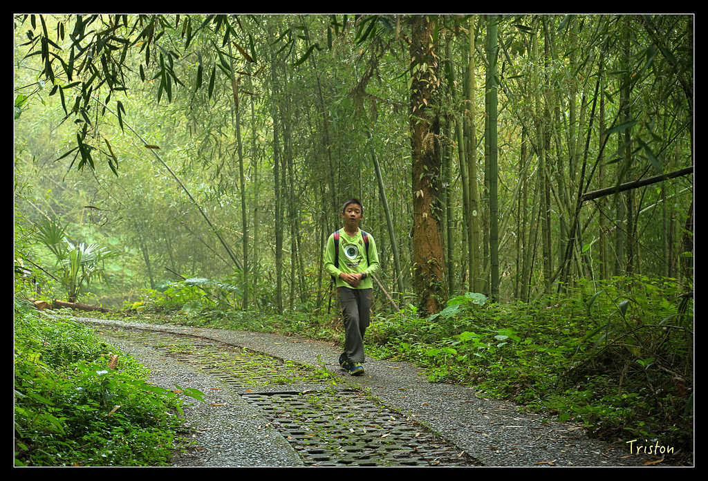 JH1A9736.jpg - 20150920 石棹,霧之道 茶之道 雲之道