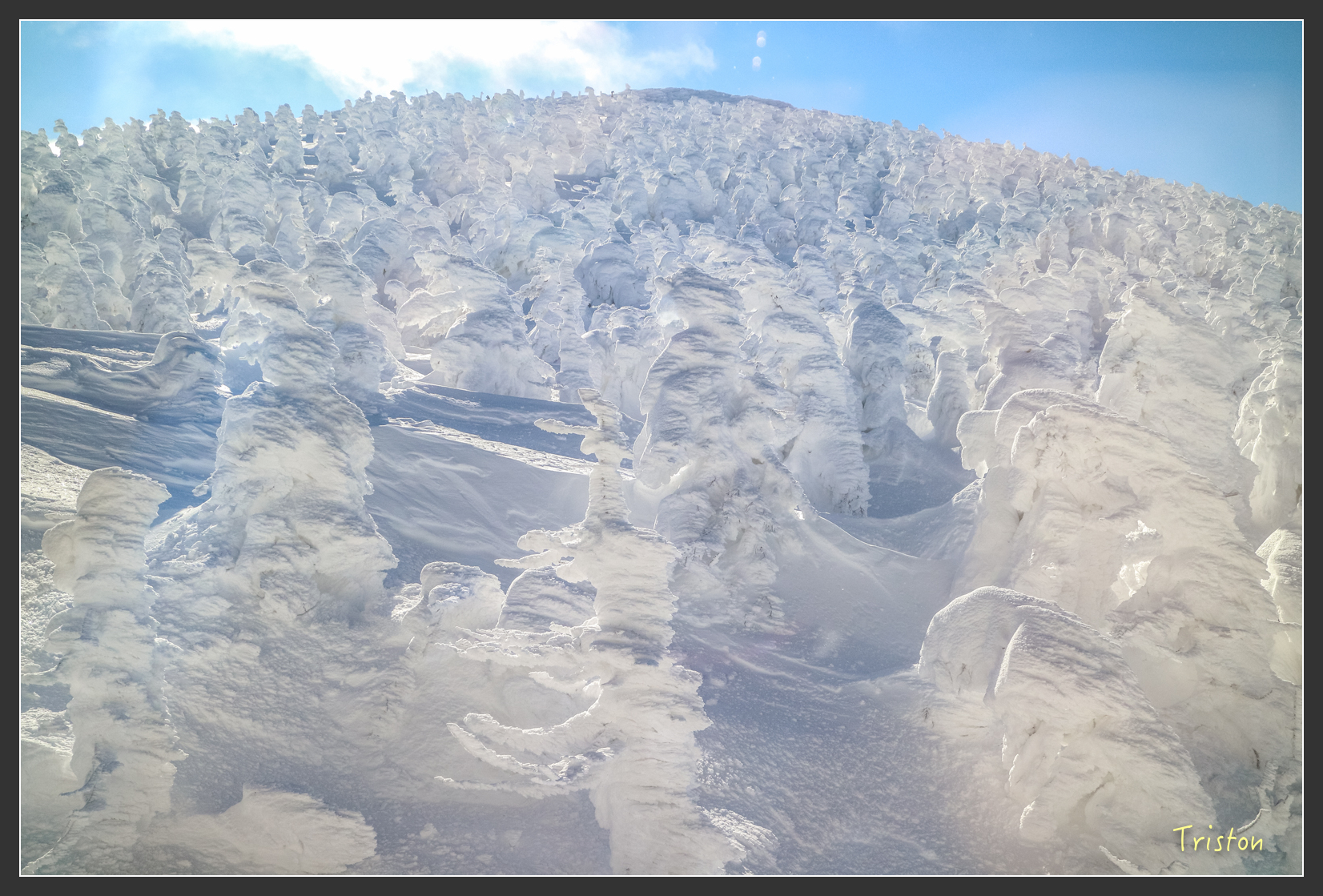 2016ZAO-01662.jpg - 20160131 日本藏王溫泉滑雪親子行