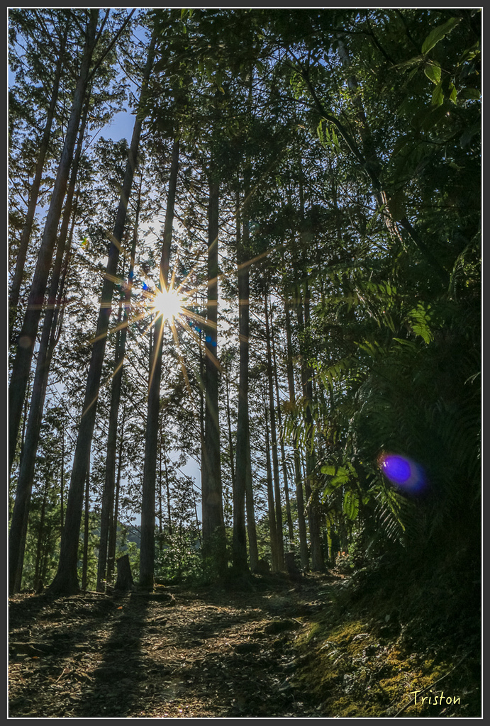 IMG_5008.jpg - 20160323 日本熊野古道健行