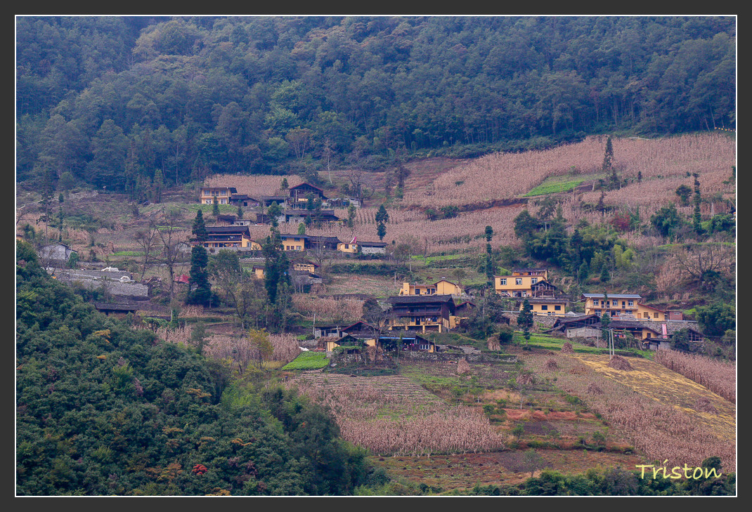 _MG_2625.jpg - 20161013 稻城亞丁