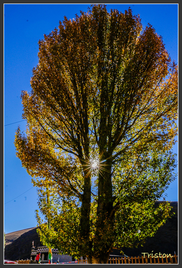 _MG_2369.jpg - 20161013 稻城亞丁