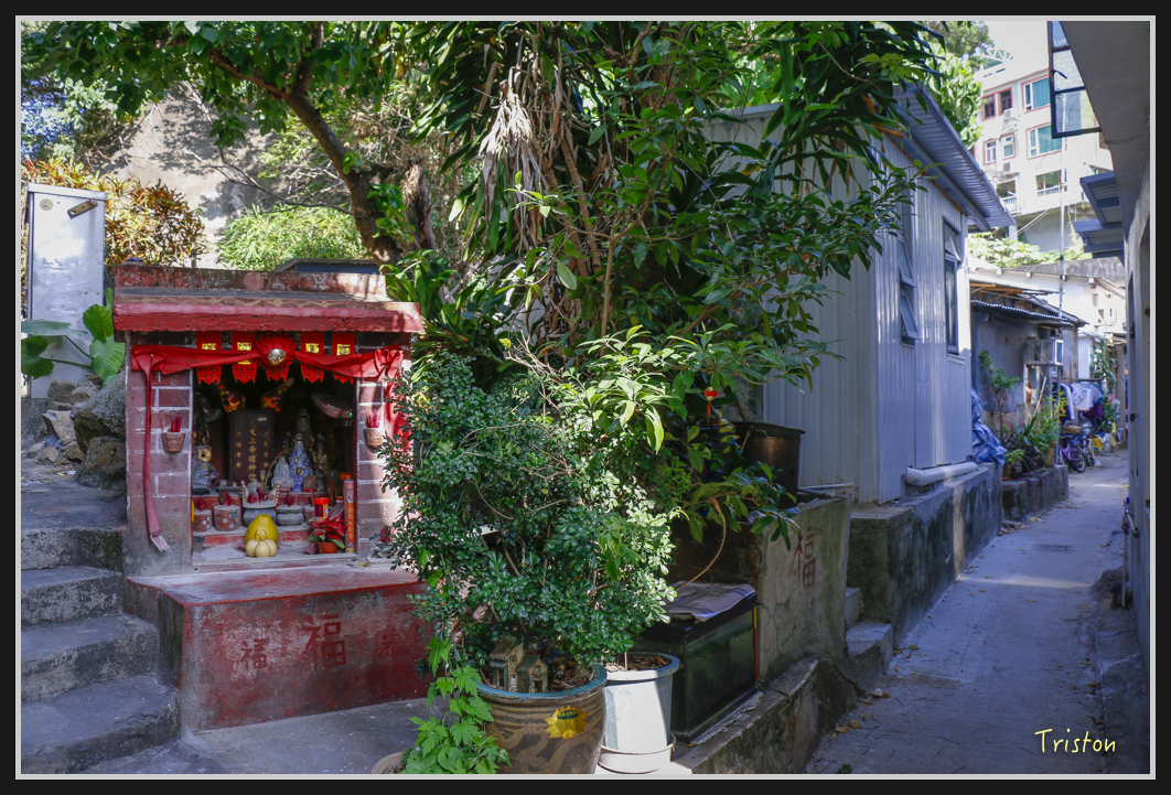 0029.jpg - 20170107 香港健行