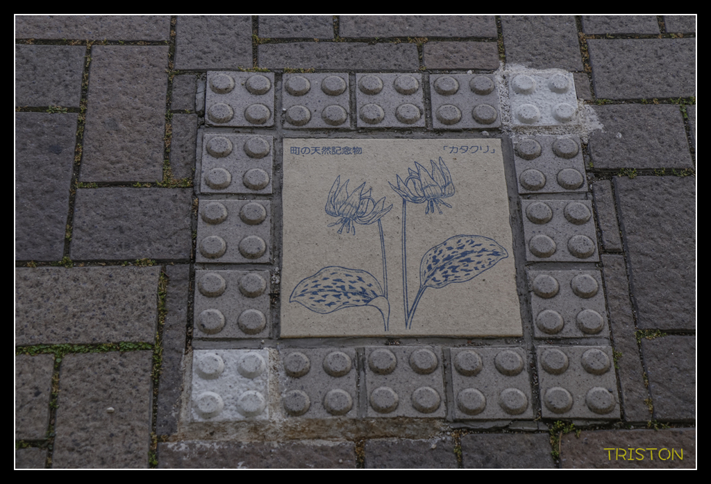 _MG_0103.jpg - 20170702 靜岡東海道之旅