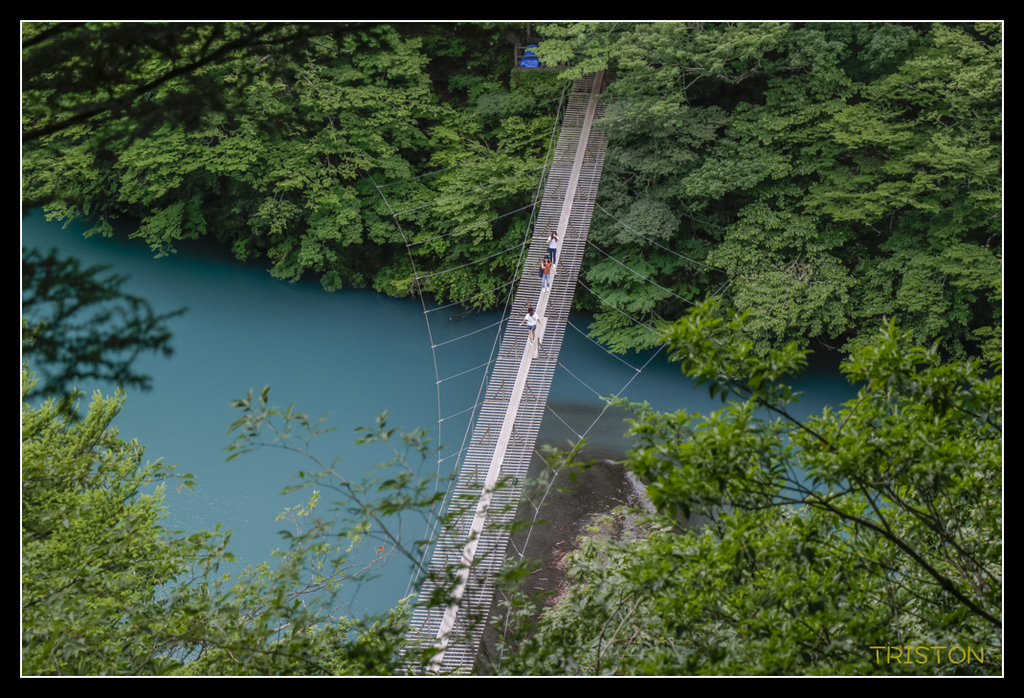 _MG_0826.jpg - 20170702 靜岡東海道之旅