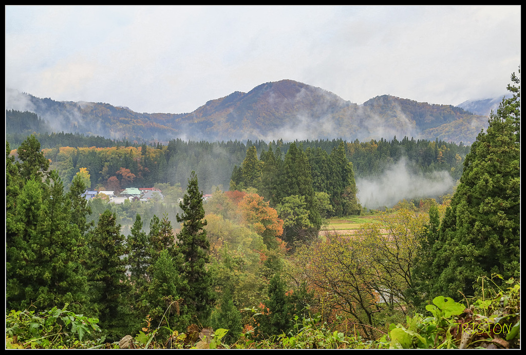 _H1A0418.jpg - 20171103 日本只見線、會津若松五色沼、昭和記念公園賞紅葉