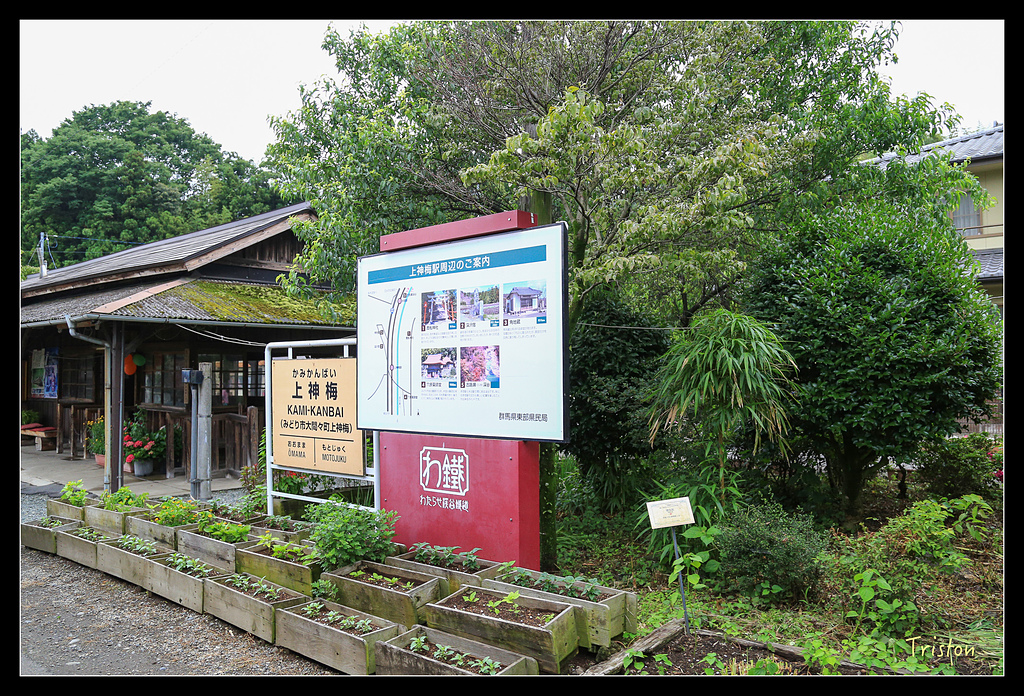 JH1A9711.jpg - 20150628 東京輕井澤日光