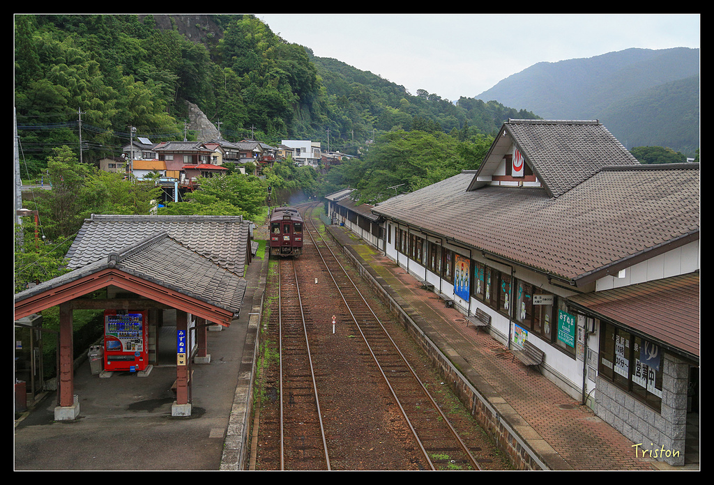 JH1A9735.jpg - 20150628 東京輕井澤日光