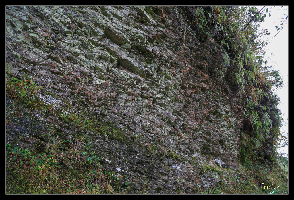 JH1A0115.jpg - 20151024~25 幾米公園、翠峰湖、翠峰山屋、望洋山步道、山毛櫸步道