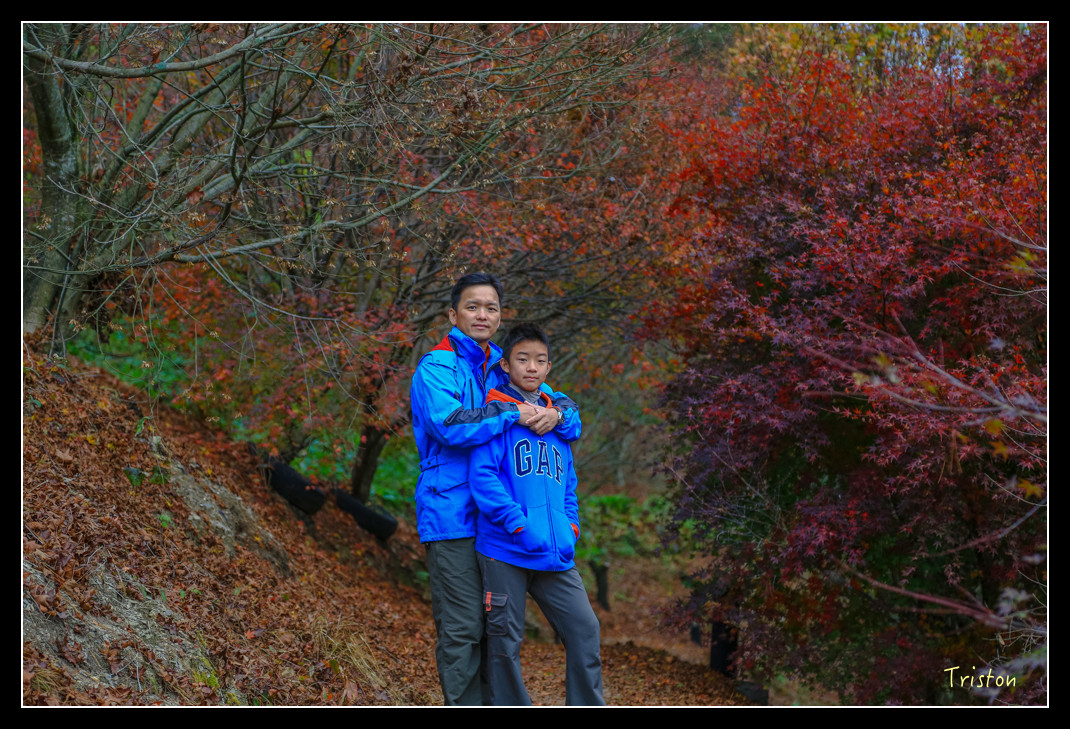 JH1A0948.jpg - 20151205 合歡溪步道、108K楓之谷