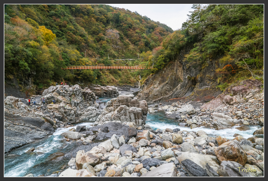 JH1A1238.jpg - 20151221 新竹秀巒賞楓