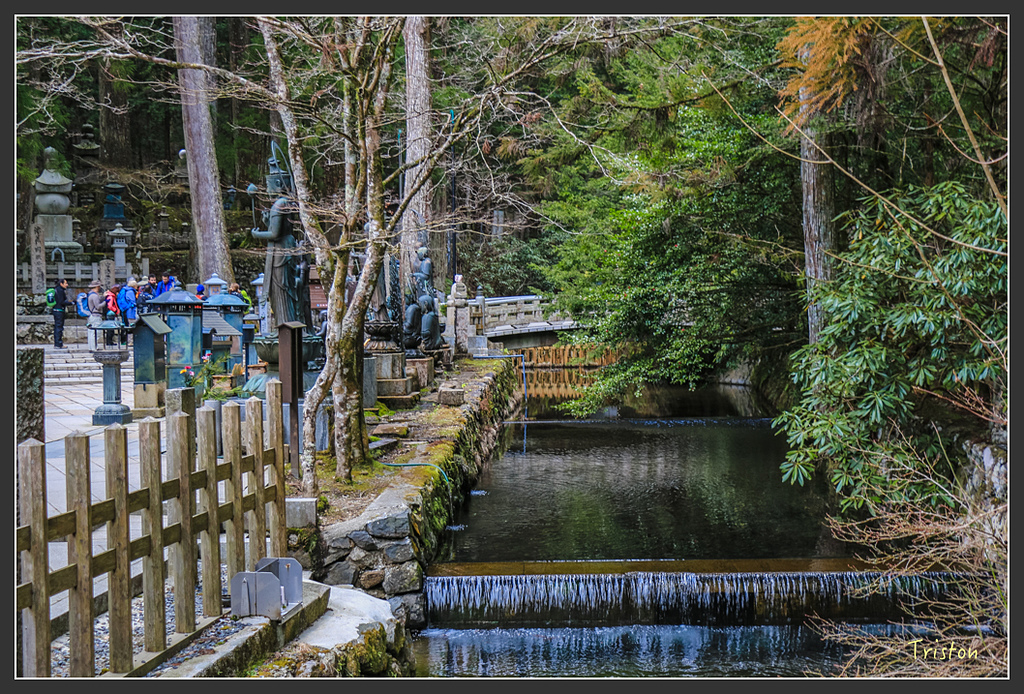 IMG_4599.jpg - 20160323 日本熊野古道健行