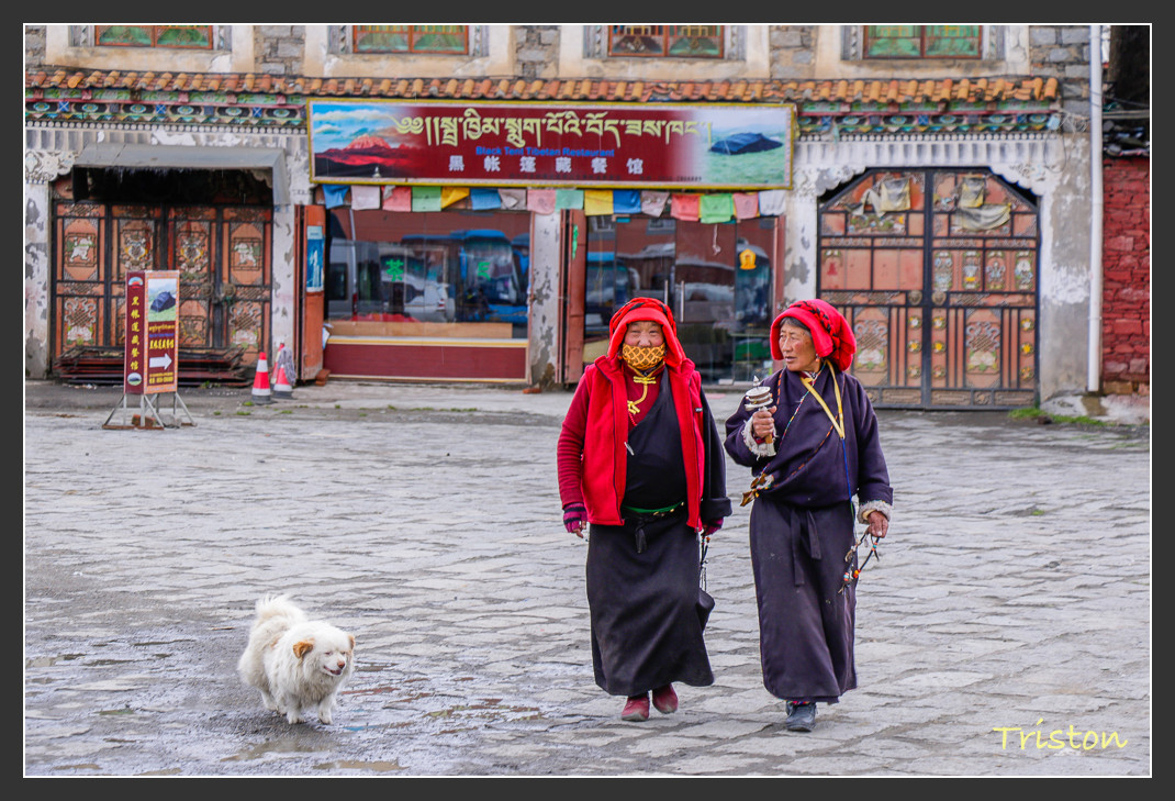 _MG_1246.jpg - 20161013 稻城亞丁