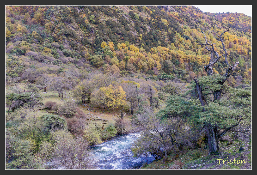 _MG_0832.jpg - 20161013 稻城亞丁