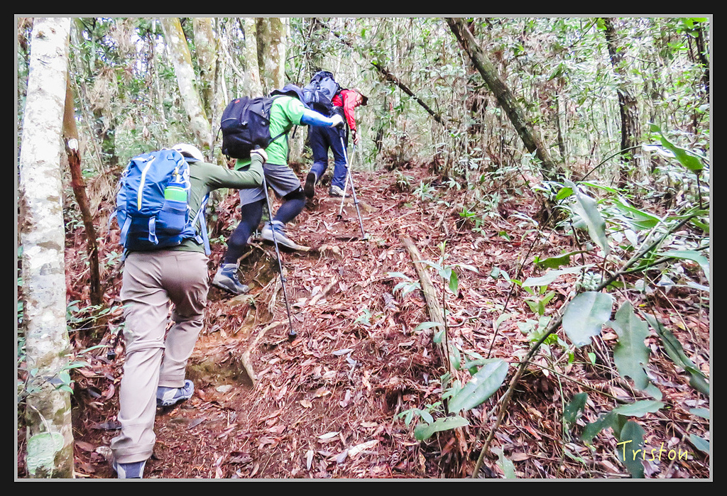 IMG_1366.jpg - 20170318 守關山、守城大山