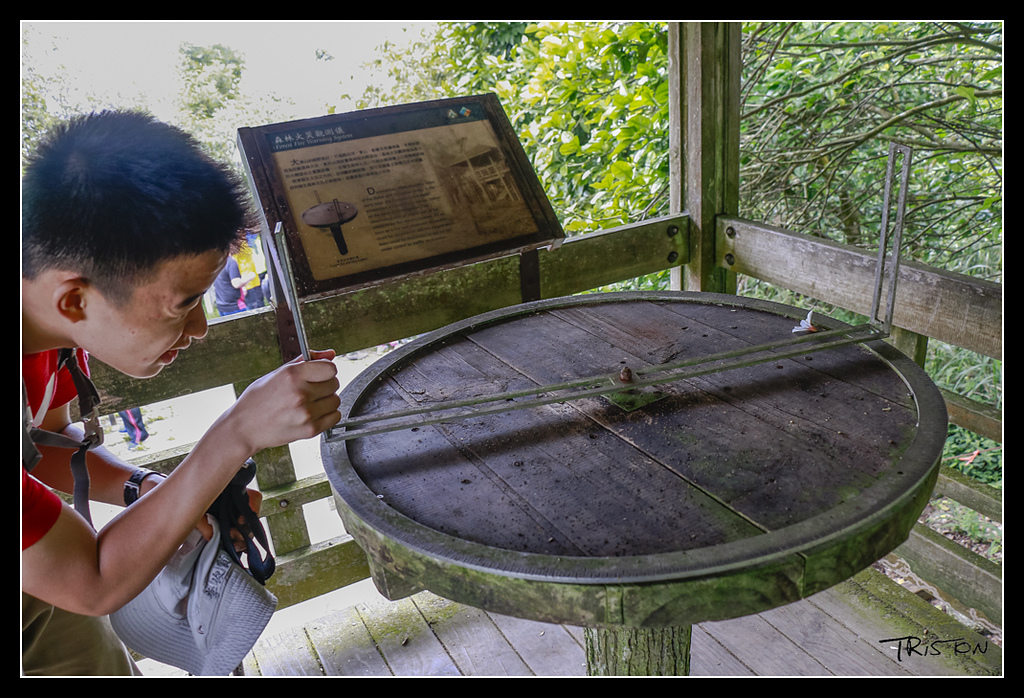 _MG_0120.jpg - 20170529 關仔嶺大凍山