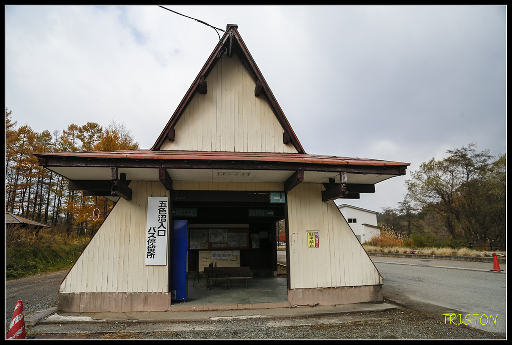 _H1A1132.jpg - 20171103 日本只見線、會津若松五色沼、昭和記念公園賞紅葉