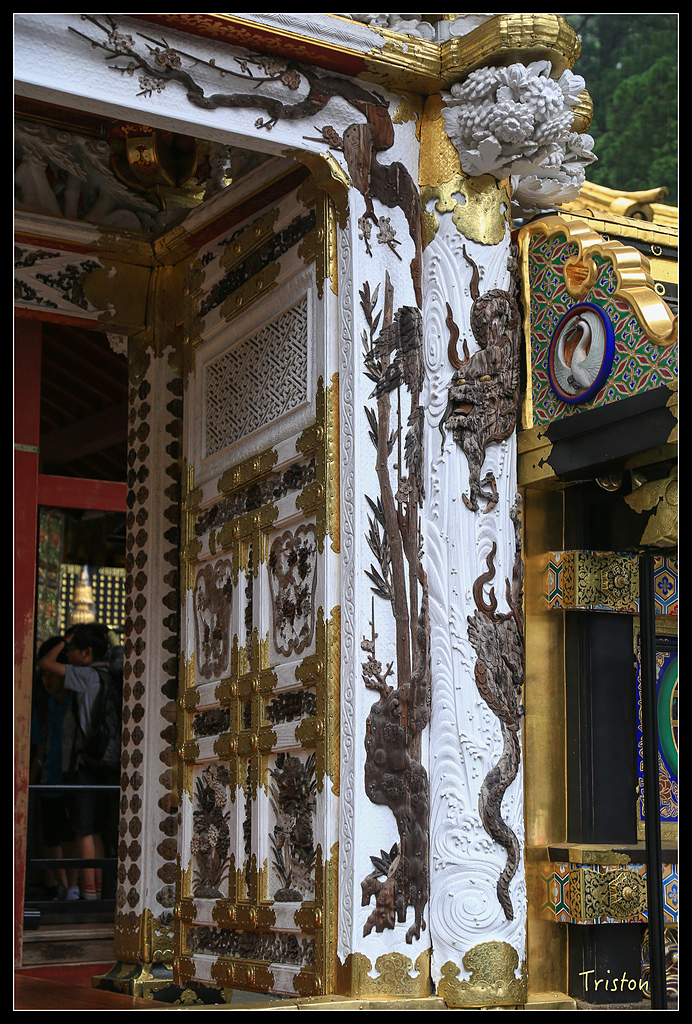 JH1A9964.jpg - 20150628 東京輕井澤日光