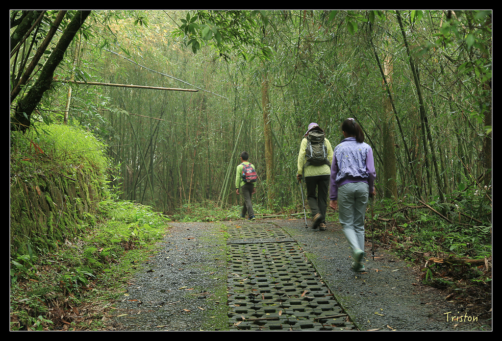 JH1A9734.jpg - 20150920 石棹,霧之道 茶之道 雲之道