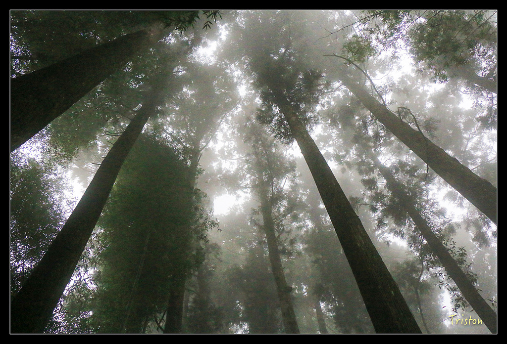 IMG_8361.jpg - 20150926 大凍山切霹靂山 抵龍雲山莊