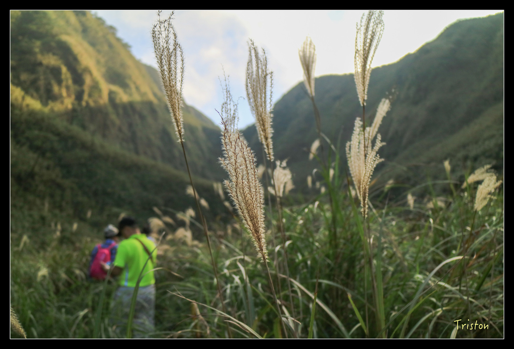 IMG_0445.jpg - 20151107 富士坪古道