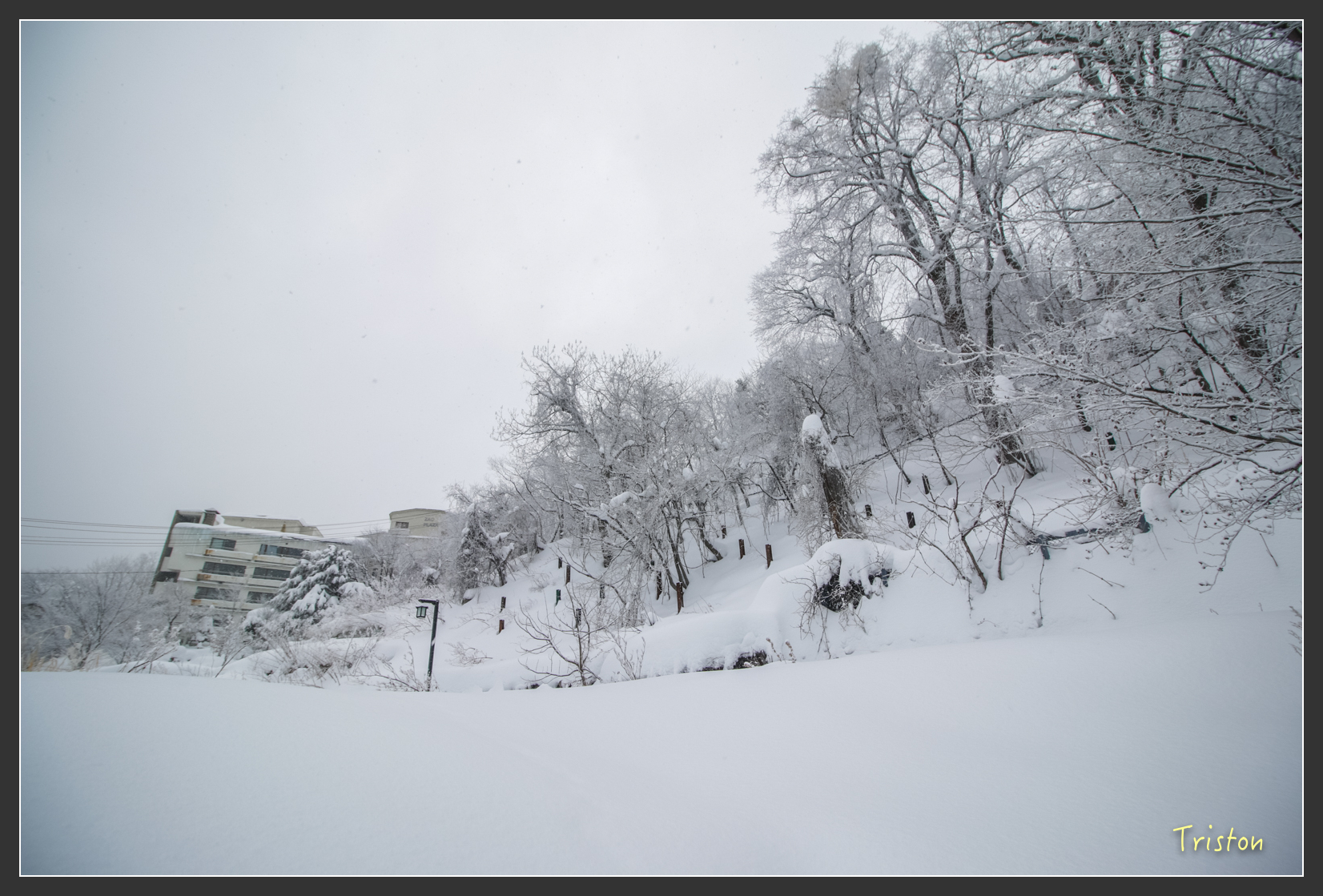 2016ZAO-01264.jpg - 20160131 日本藏王溫泉滑雪親子行