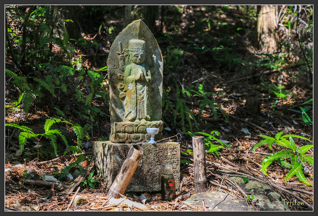 IMG_4815.jpg - 20160323 日本熊野古道健行