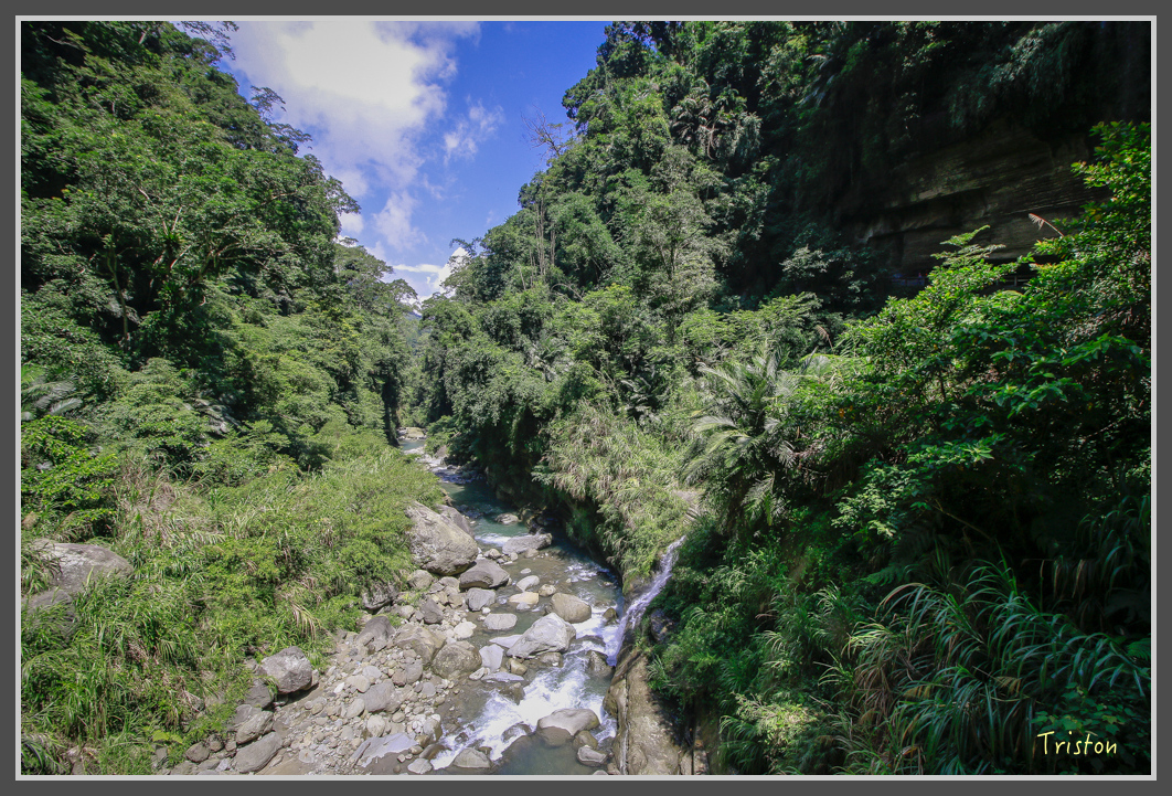_MG_9104.jpg - 20160716 青年嶺步道