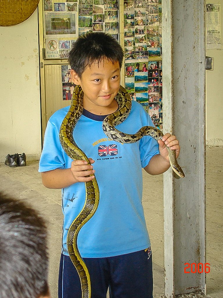 13475243_1231410446870718_4495096544654399968_o.jpg - 20160828 曾文水庫東口奔向青春之新鮮人水球趴