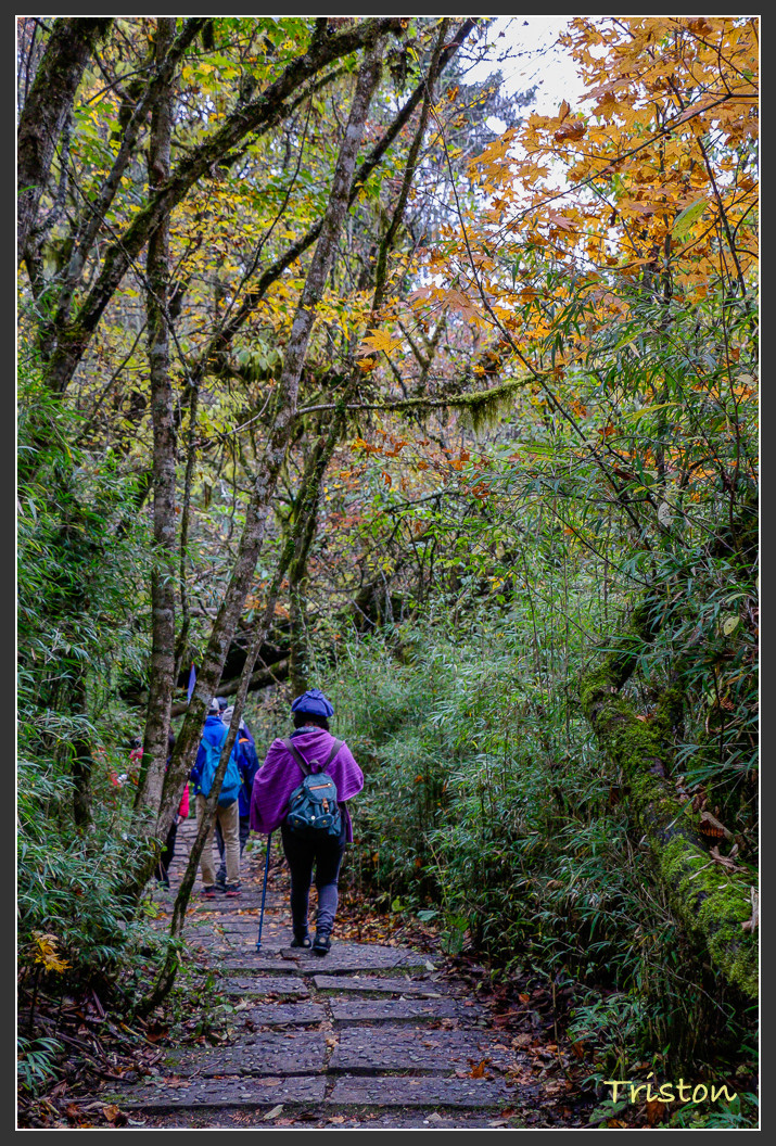 _MG_2732.jpg - 20161013 稻城亞丁