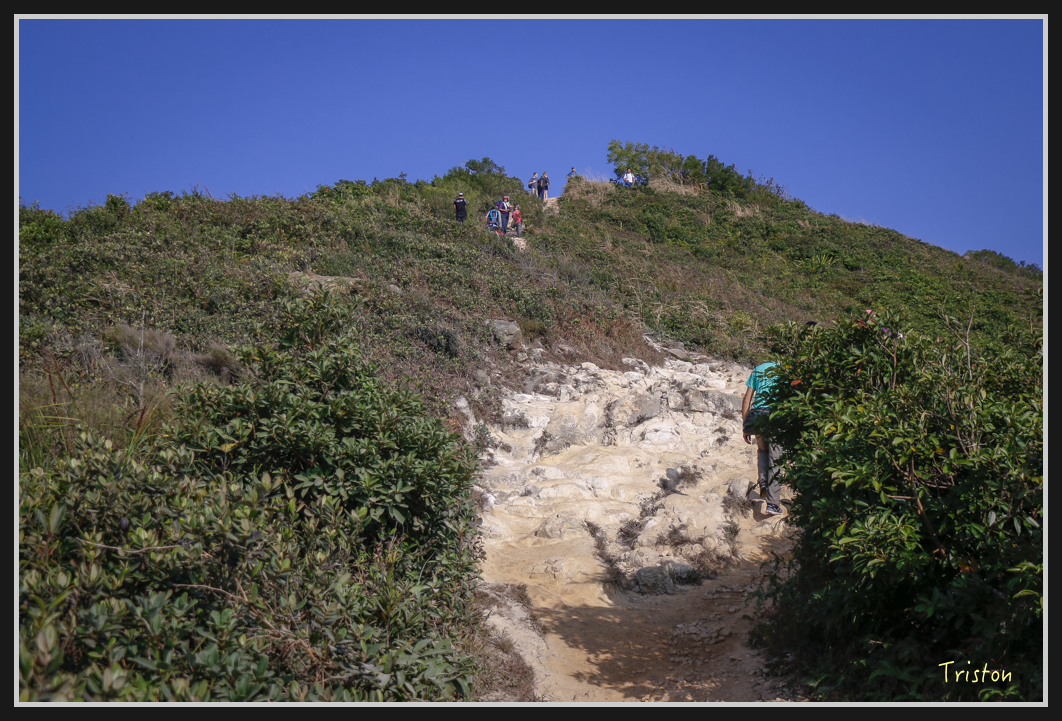 00140.jpg - 20170107 香港健行