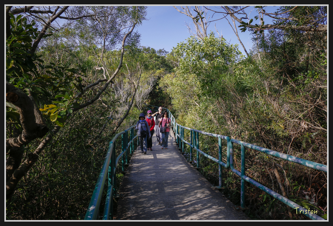0048.jpg - 20170107 香港健行