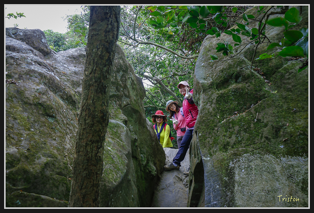 _MG_0663.jpg - 20170114 旗尾山