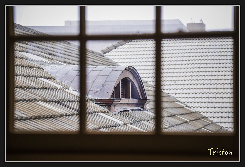 _H1A2665.jpg - 20170314 台南舊法院