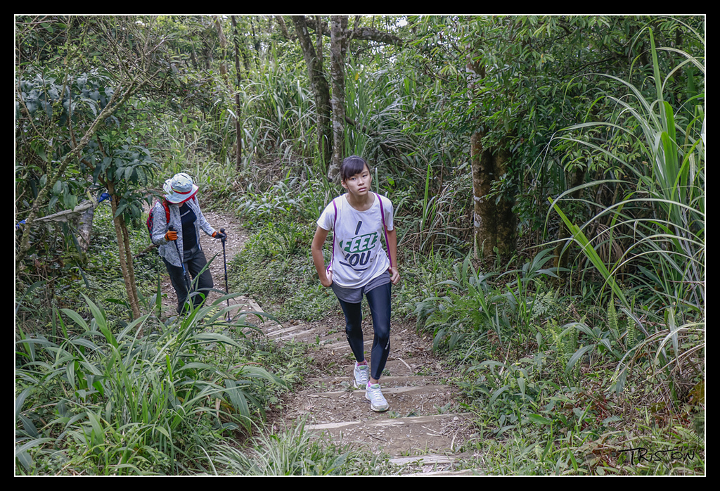 _MG_0122.jpg - 20170529 關仔嶺大凍山