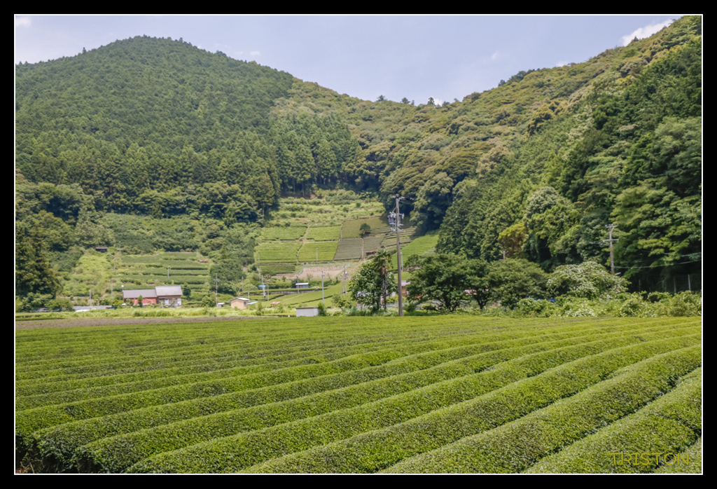 _MG_0311.jpg - 20170702 靜岡東海道之旅