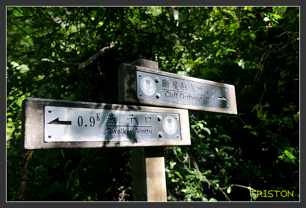 _H1A6299.jpg - 20170901 戀戀台九線