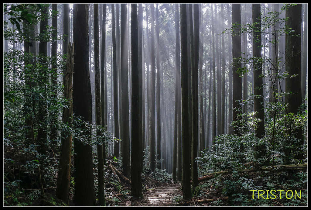 _MG_0201.jpg - 20170920 加里山