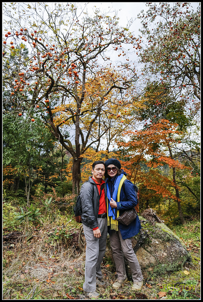 _H1A0669.jpg - 20171103 日本只見線、會津若松五色沼、昭和記念公園賞紅葉