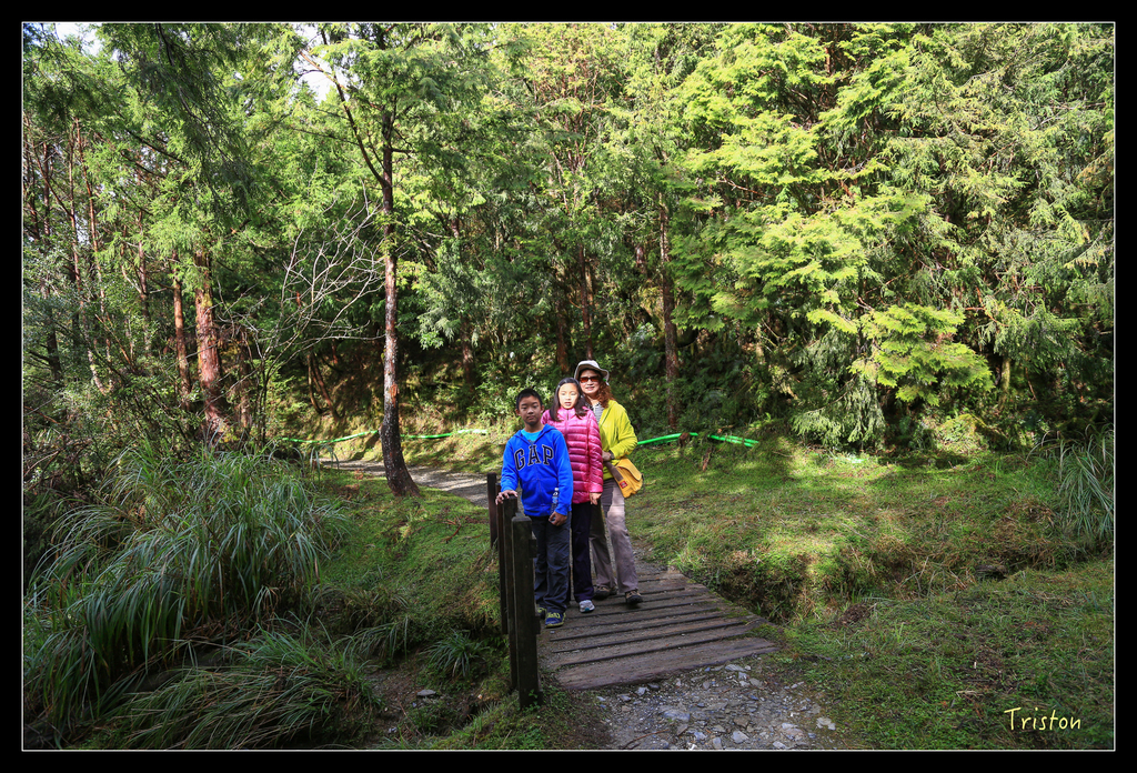 JH1A0124.jpg - 20151024~25 幾米公園、翠峰湖、翠峰山屋、望洋山步道、山毛櫸步道