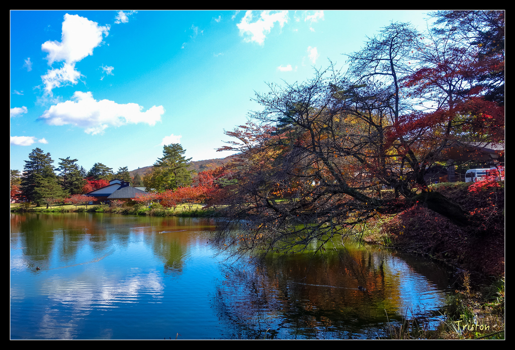 DSC00283.jpg - 20151031 秋天的童話-貴婦東京輕井澤紀行