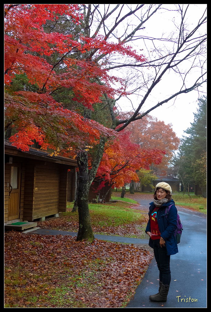 DSC00247.jpg - 20151031 秋天的童話-貴婦東京輕井澤紀行