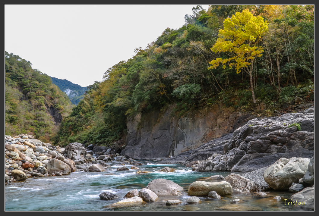 JH1A1246.jpg - 20151221 新竹秀巒賞楓